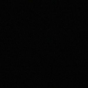 Meet your Posher, Ava